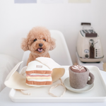 LATTE POP - Lambwolf Collective