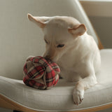 FLANNEL MONTI