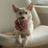 FLANNEL MONTI