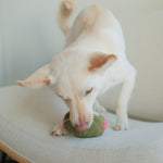 Olive + SALAMI - Lambwolf Collective