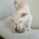 Olive + SALAMI - Lambwolf Collective