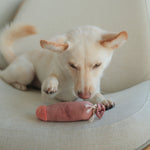 Olive + SALAMI - Lambwolf Collective