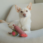 Olive + SALAMI - Lambwolf Collective