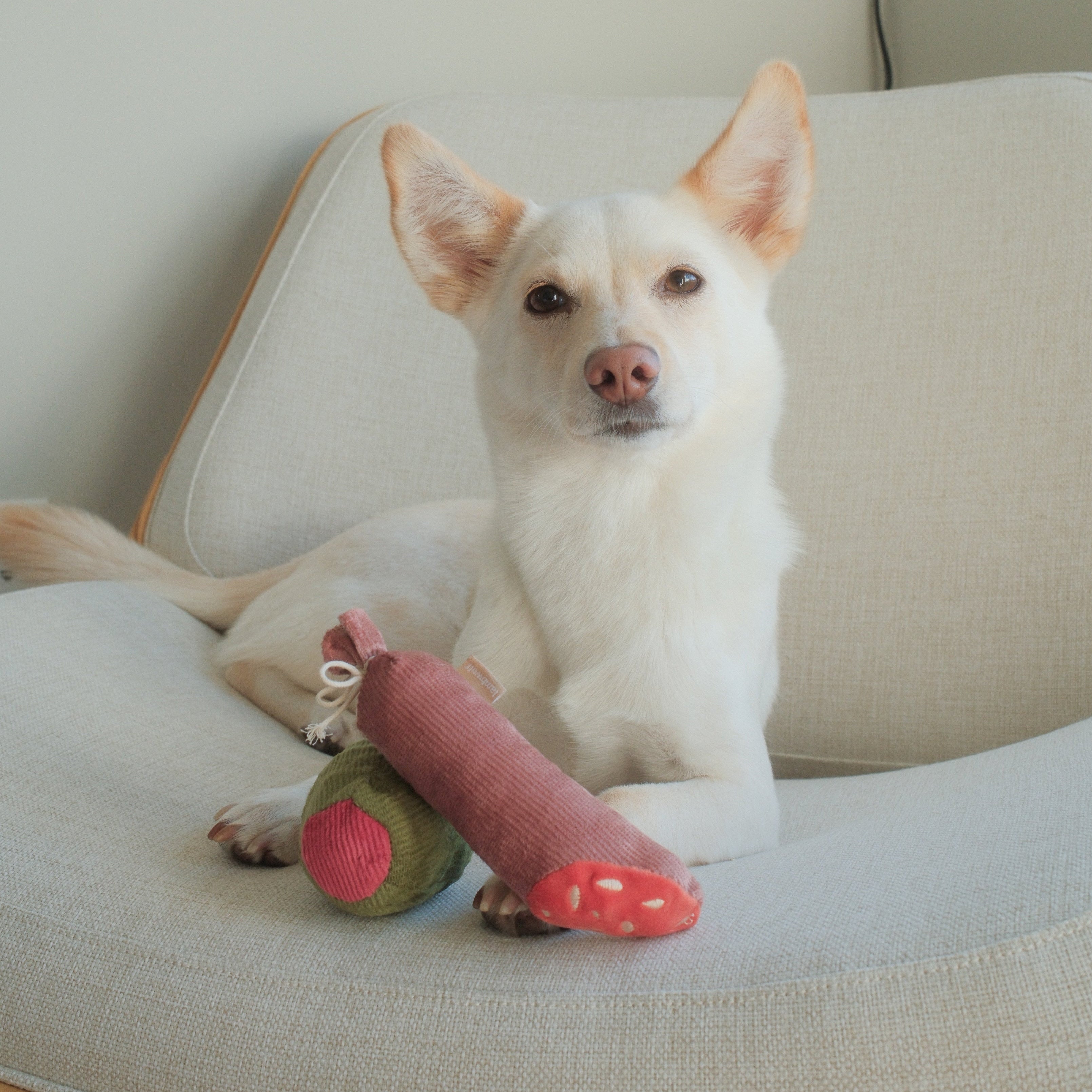 Olive + SALAMI - Lambwolf Collective