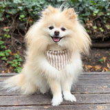 Mocha Stripe Dog Bandana
