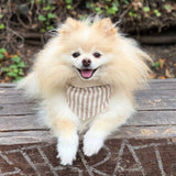 Mocha Stripe Dog Bandana