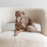 GUU - Lambwolf Collective