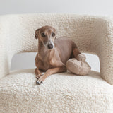 GUU - Lambwolf Collective