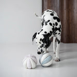 TOTO - Lambwolf Collective