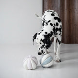 TOTO - Lambwolf Collective