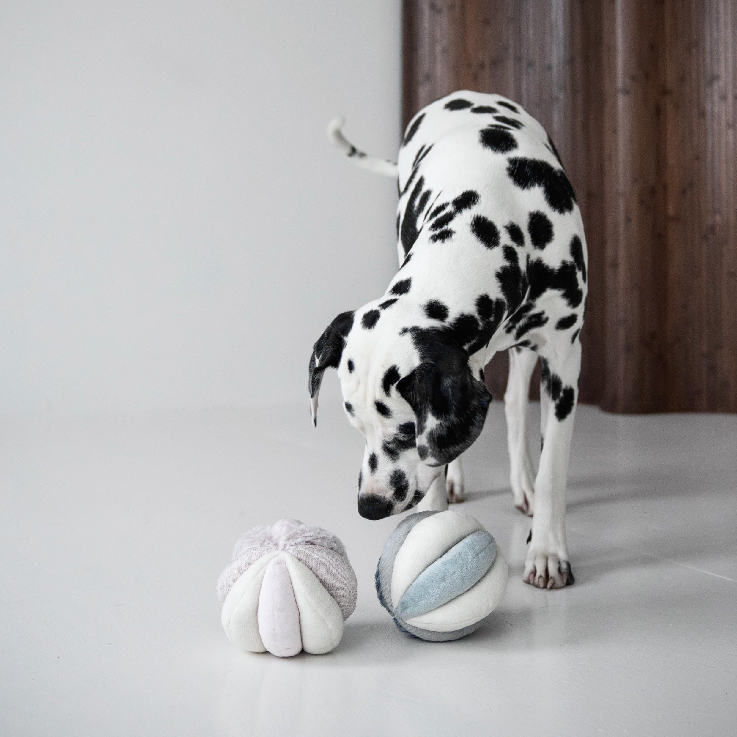 TOTO - Lambwolf Collective