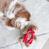 MY Teddy