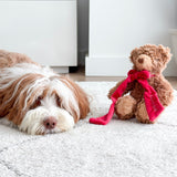 MY Teddy