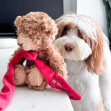 MY Teddy