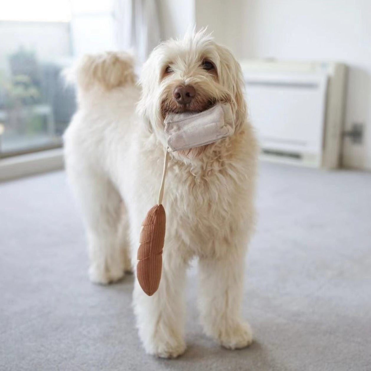 MINI-BAGUETTE