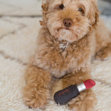 LIPSTICK