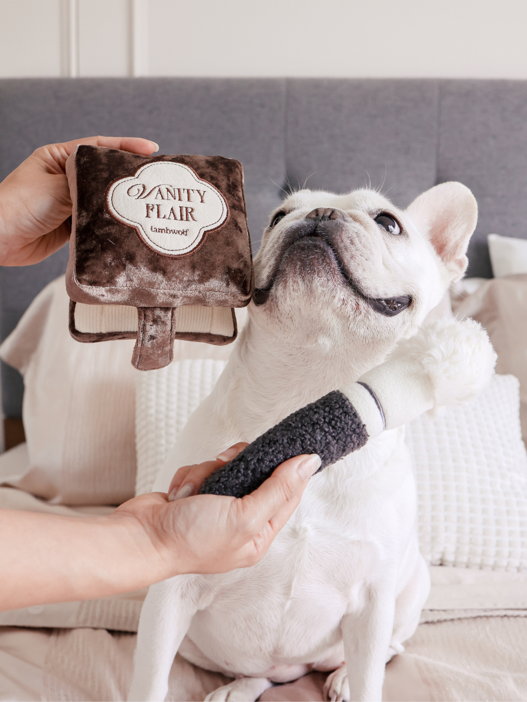 Design Pet Goods | Interactive Dog Toys | Leash set | Dog Bed and