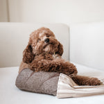 RYE - Lambwolf Collective