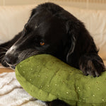 GIANT PICKLE - Lambwolf Collective