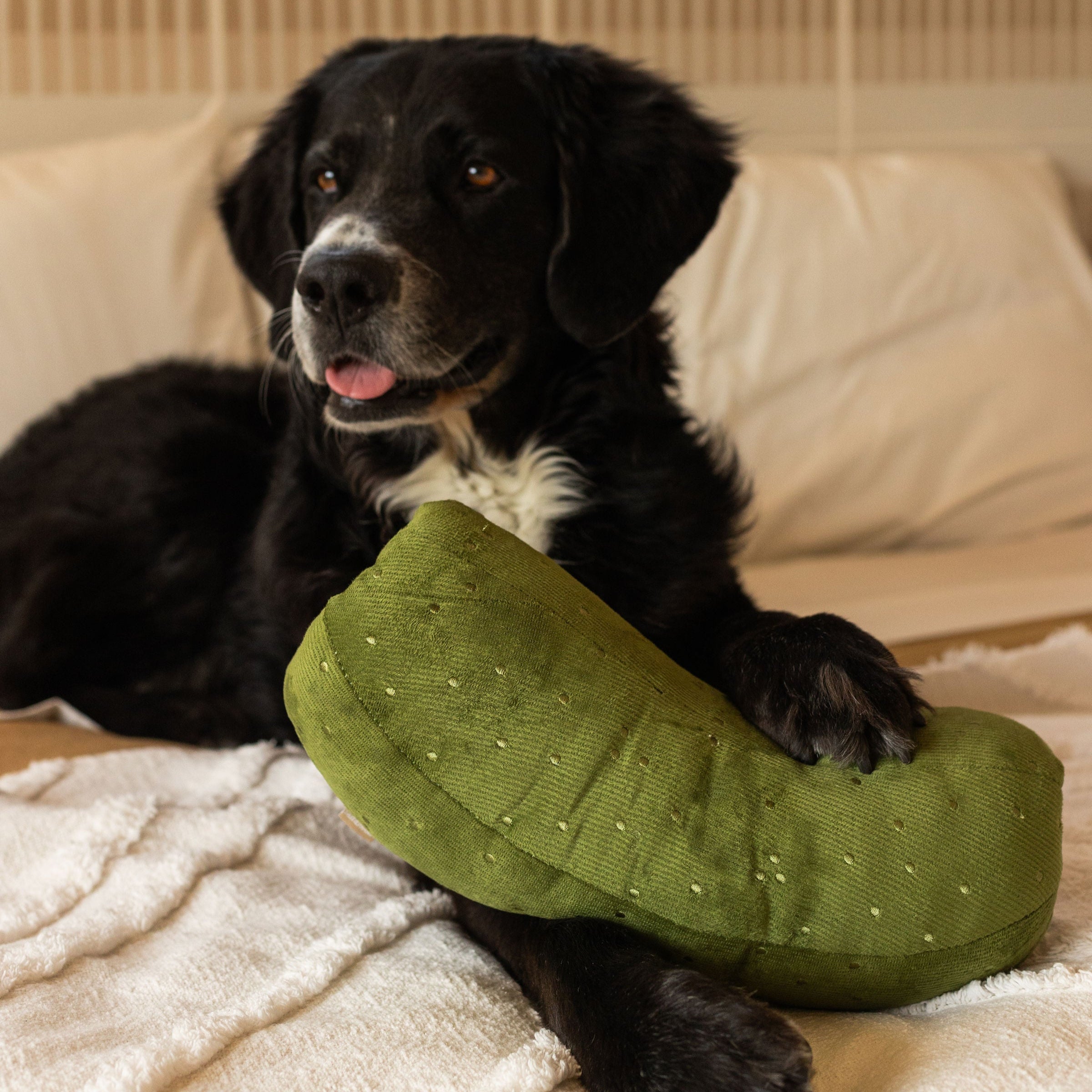 GIANT PICKLE - Lambwolf Collective