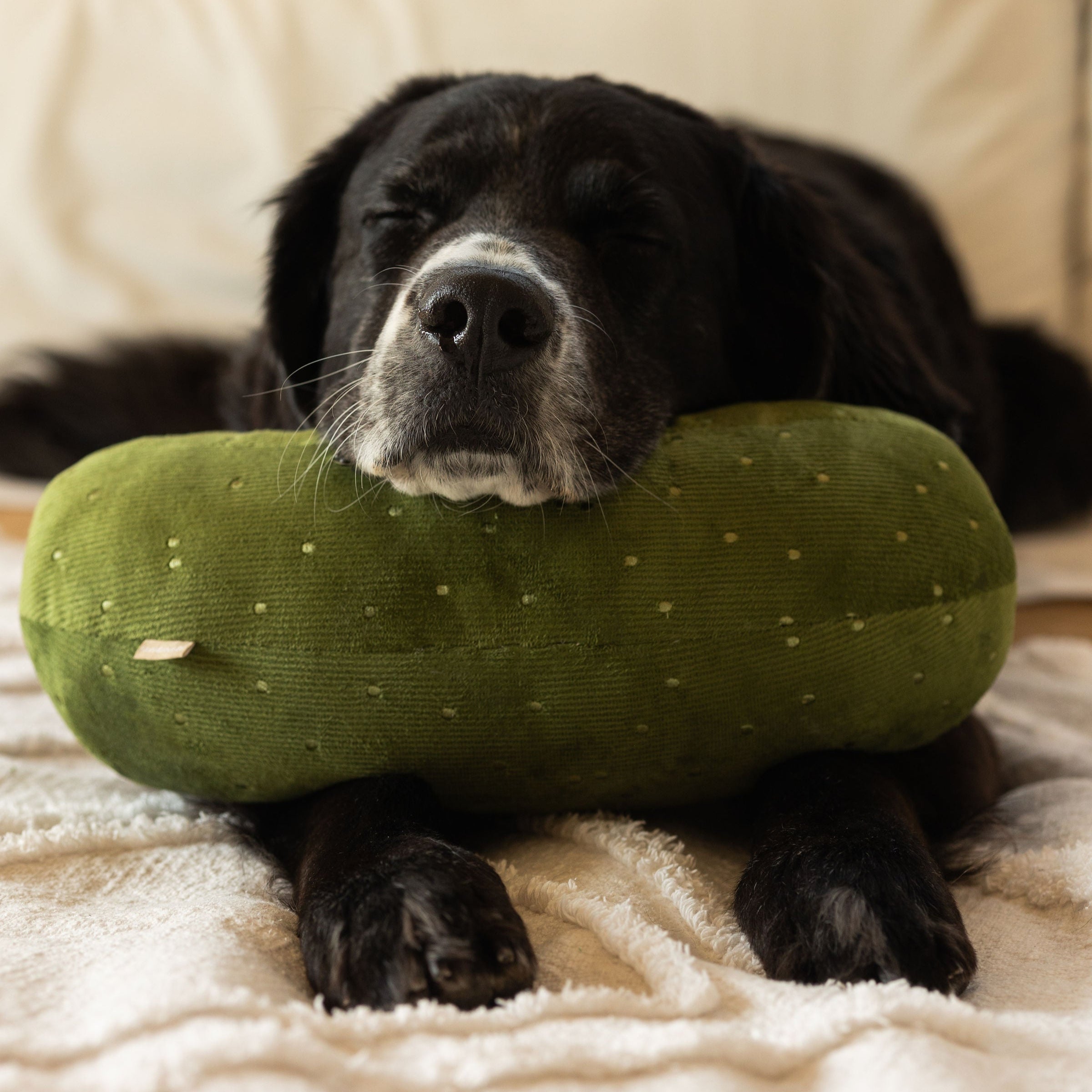 GIANT PICKLE - Lambwolf Collective