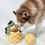 PINEAPPLE POP - Lambwolf Collective