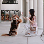 APEX - Lambwolf Collective