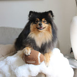 FOOTBALL