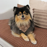HARVEST Dog Bandana