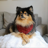 POPPY Dog Bandana
