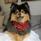 POPPY Dog Bandana