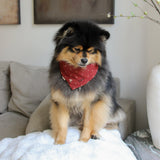 POPPY Dog Bandana