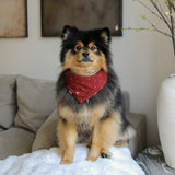 POPPY Dog Bandana