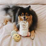 Roller Skate - Lambwolf Collective