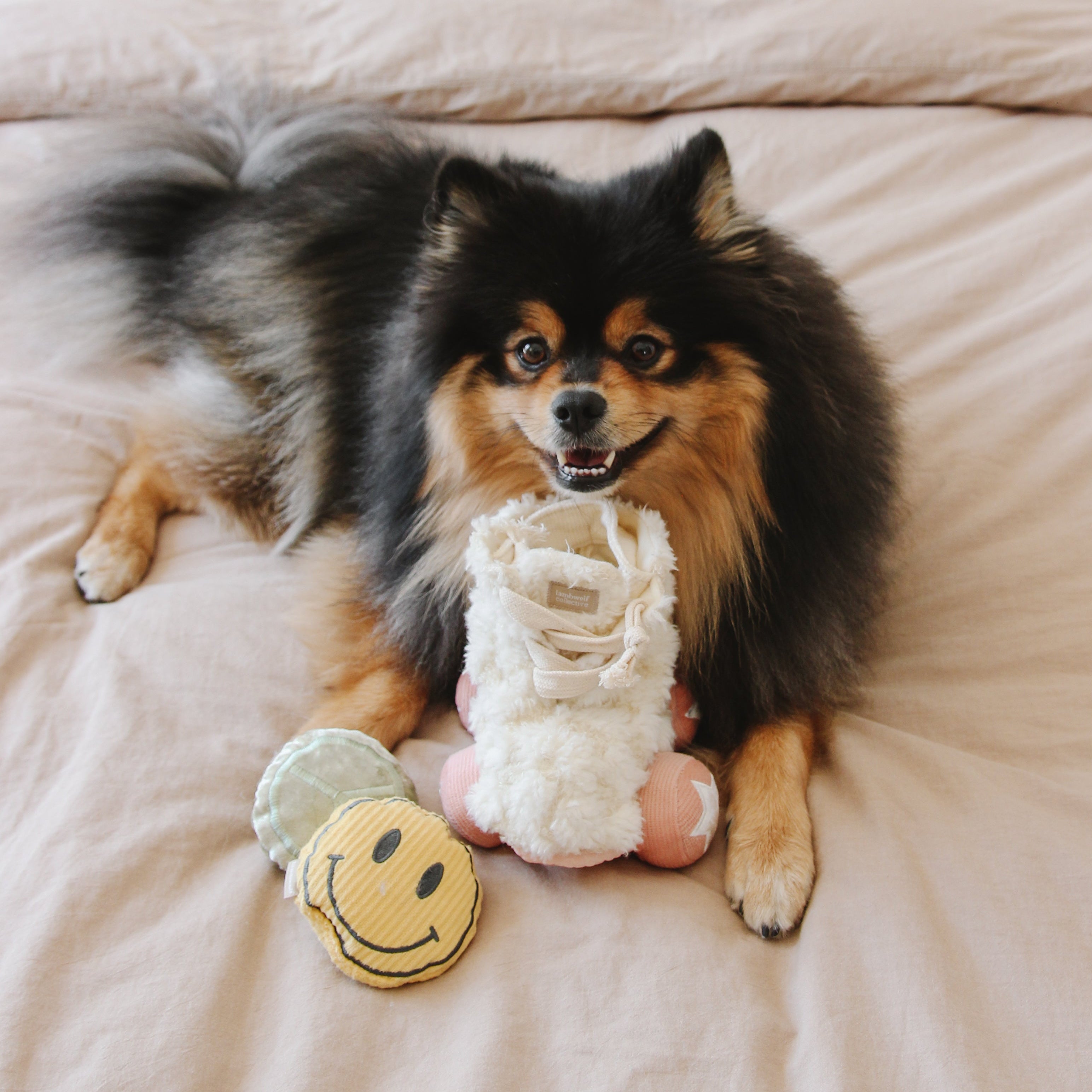 Roller Skate - Lambwolf Collective