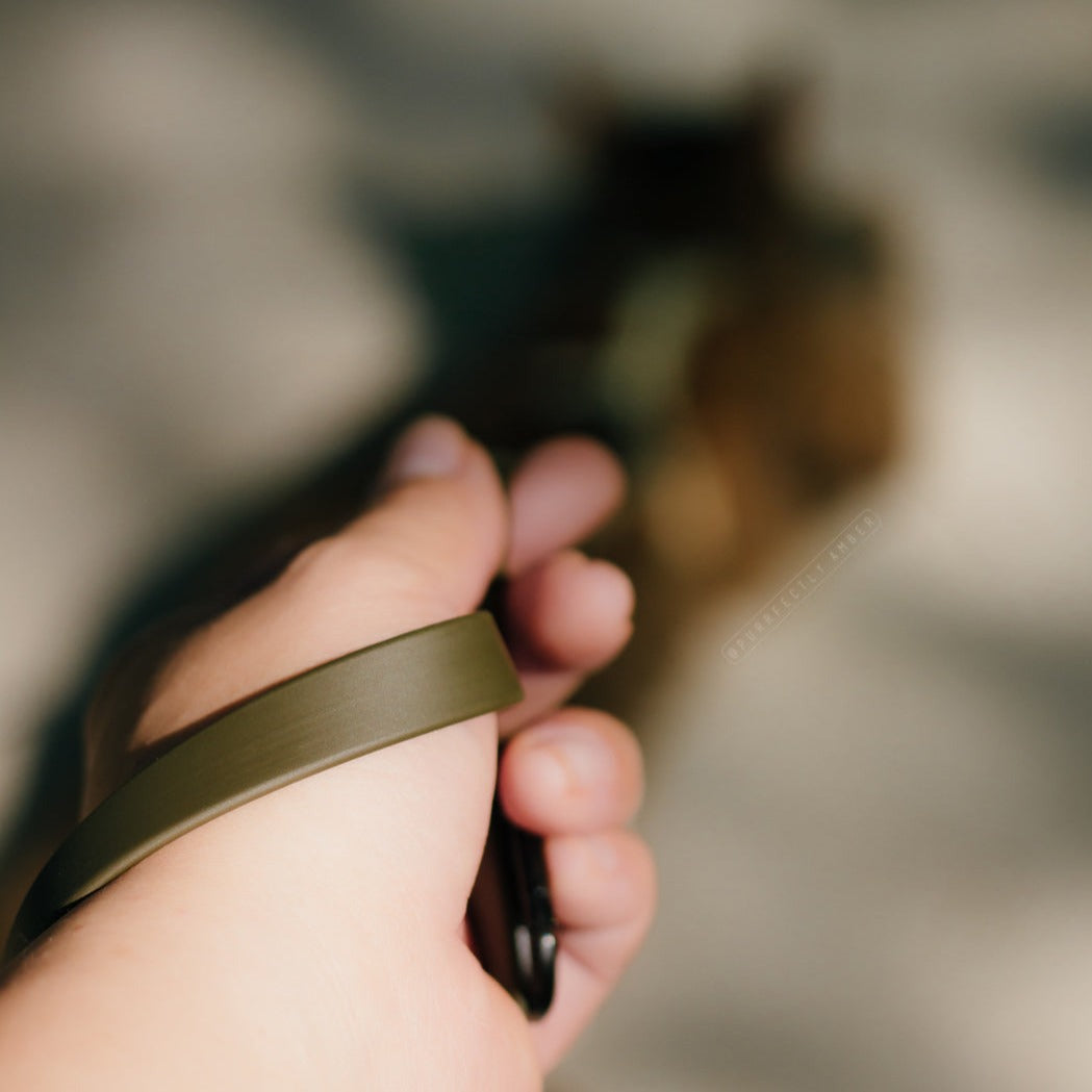 Hand holds olive green dog leash with blurred dog in background. 
