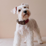 RUBY COLLAR