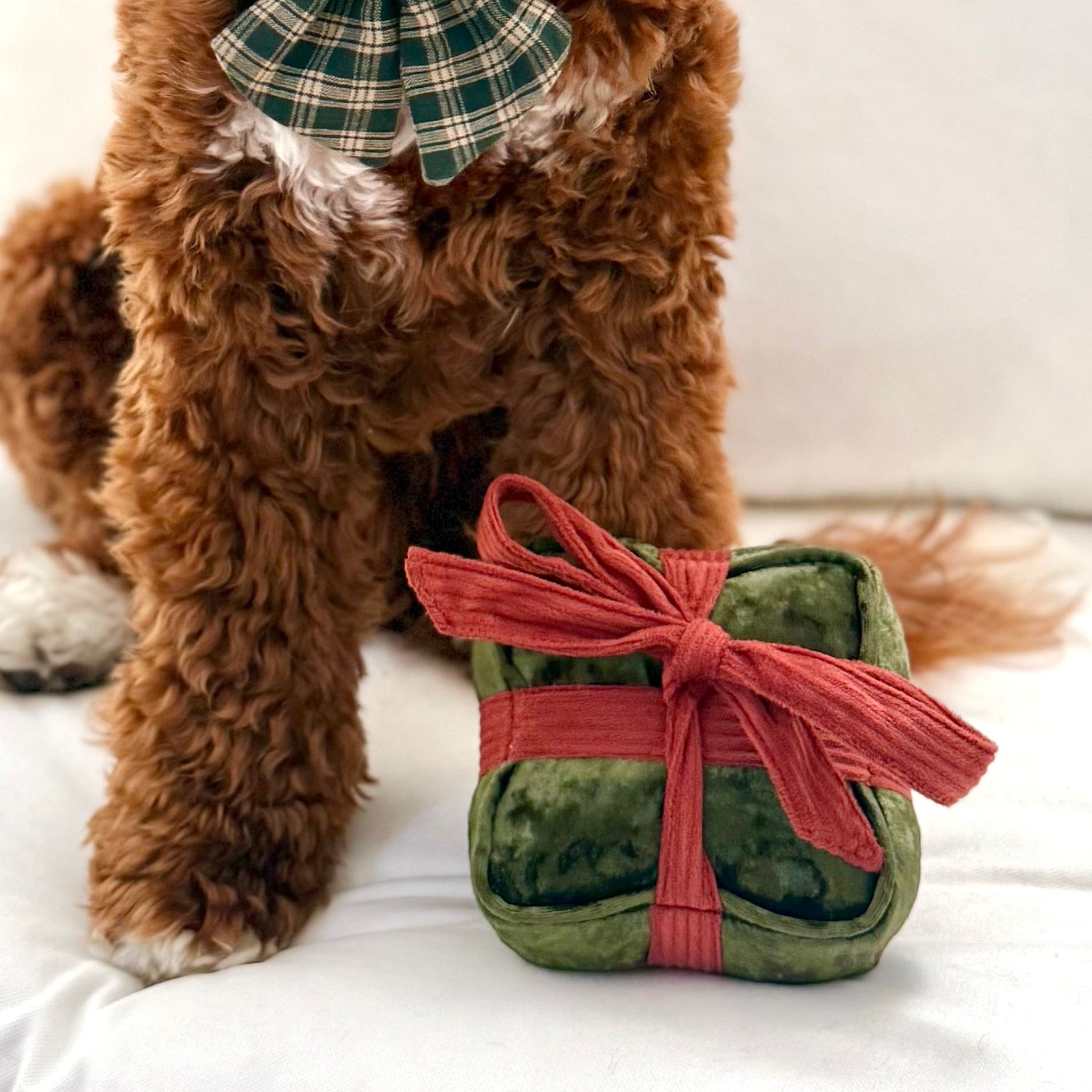 HOLIDAY BOX - Enrichment and Interactive Dog Toy | Puzzle Dog Toy