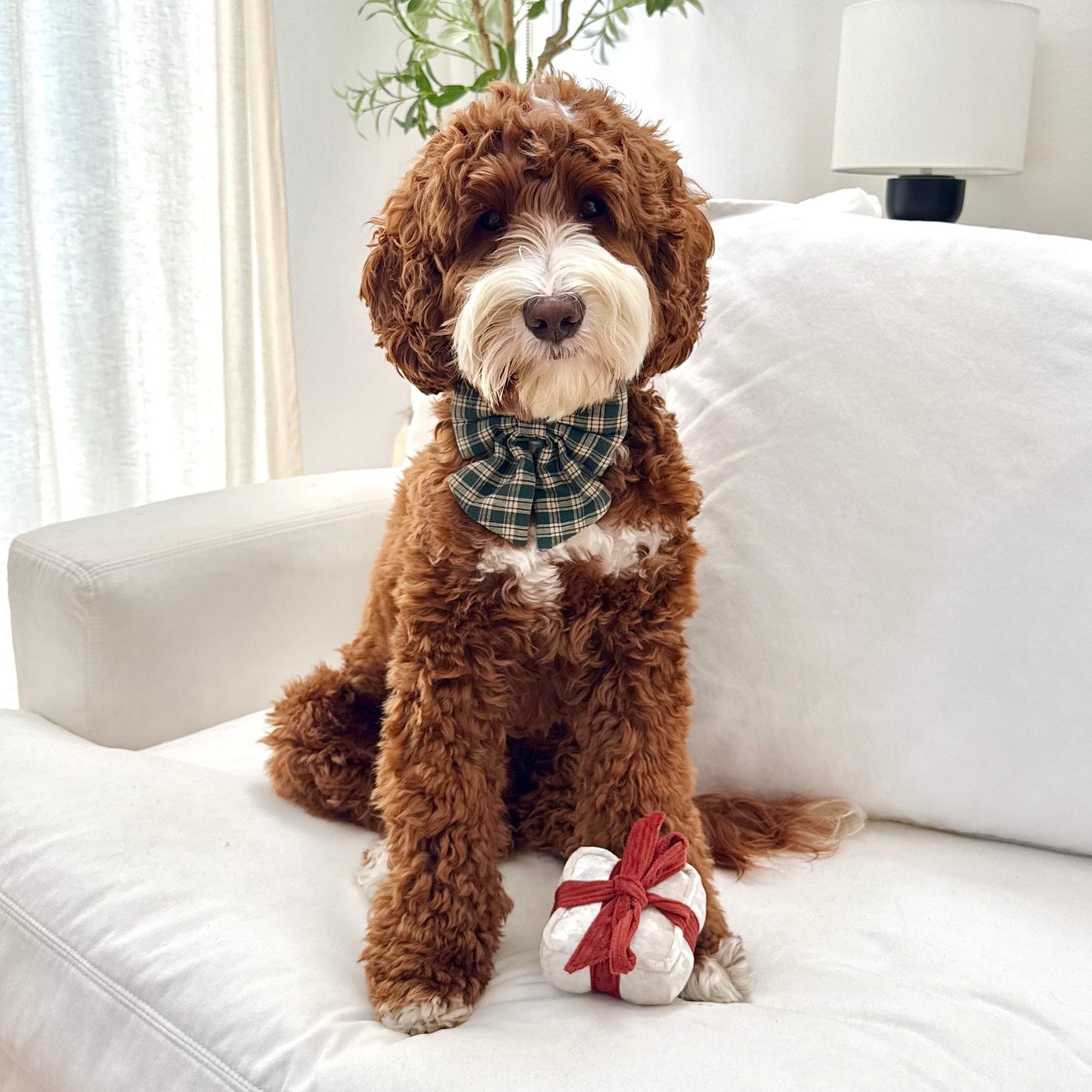 HOLIDAY BOX - Enrichment and Interactive Dog Toy | Puzzle Dog Toy