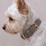 SABLE COLLAR