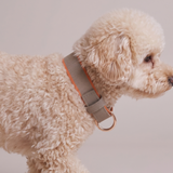 SABLE COLLAR