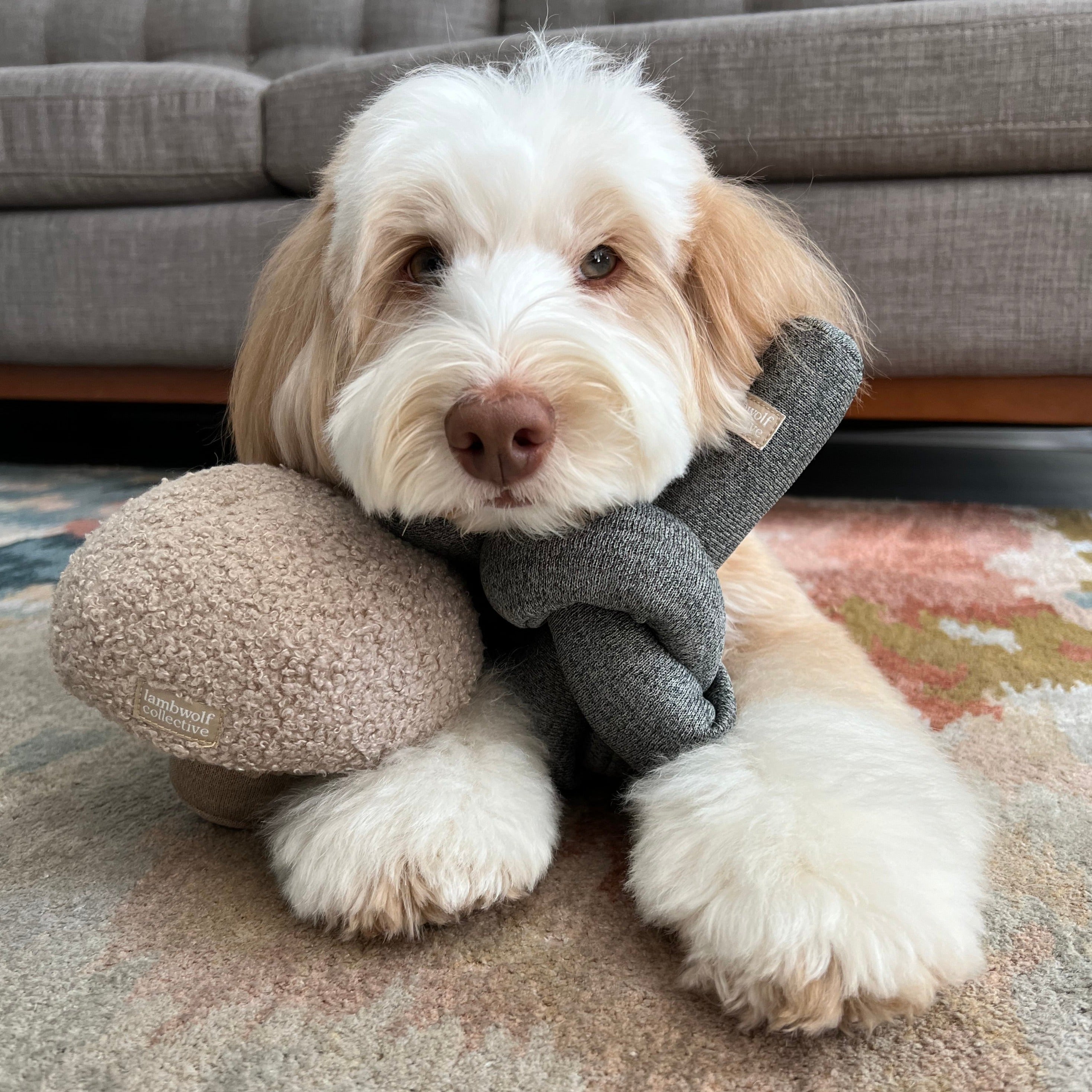 NOU® - Lambwolf Collective