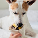 CREPE - Lambwolf Collective