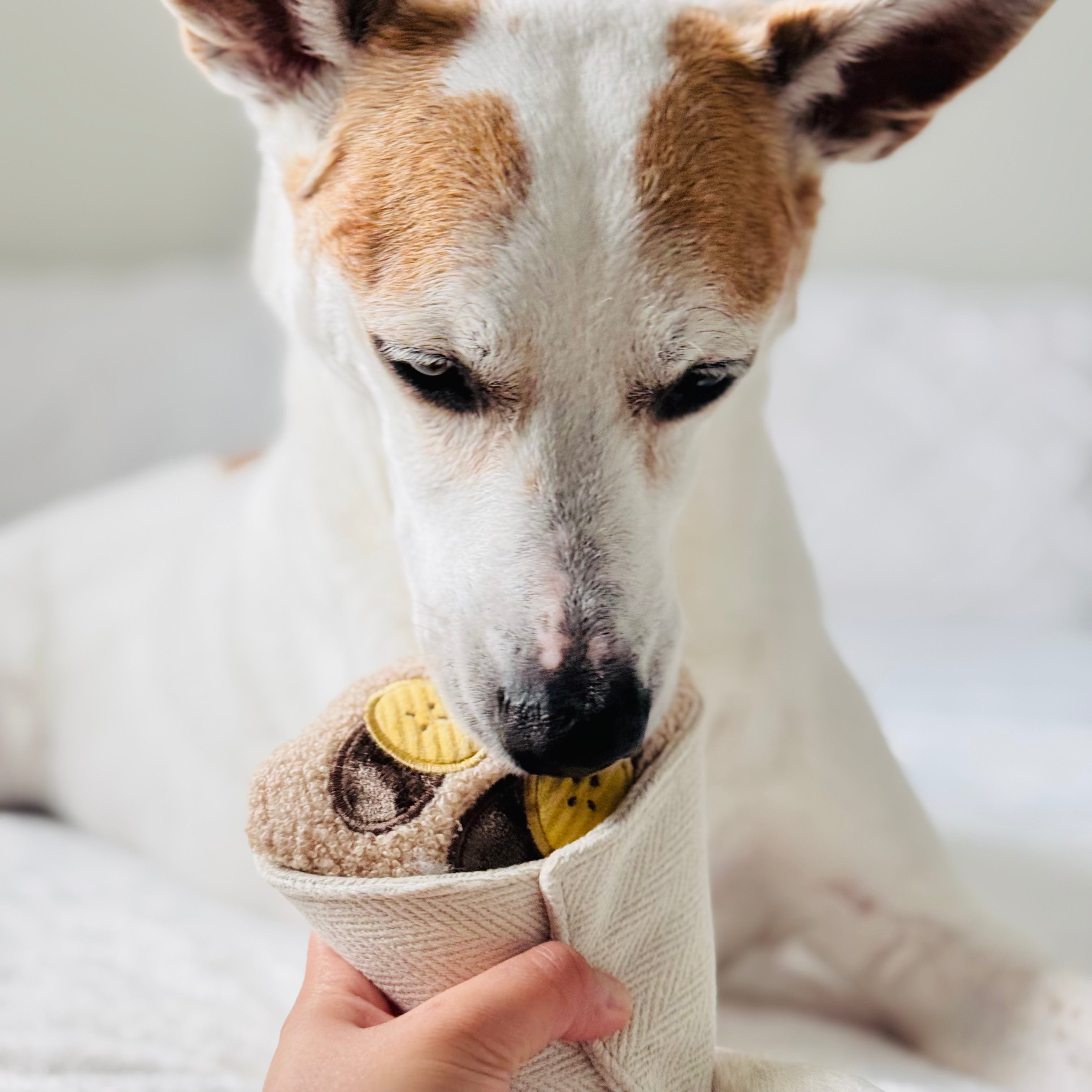 CREPE - Lambwolf Collective