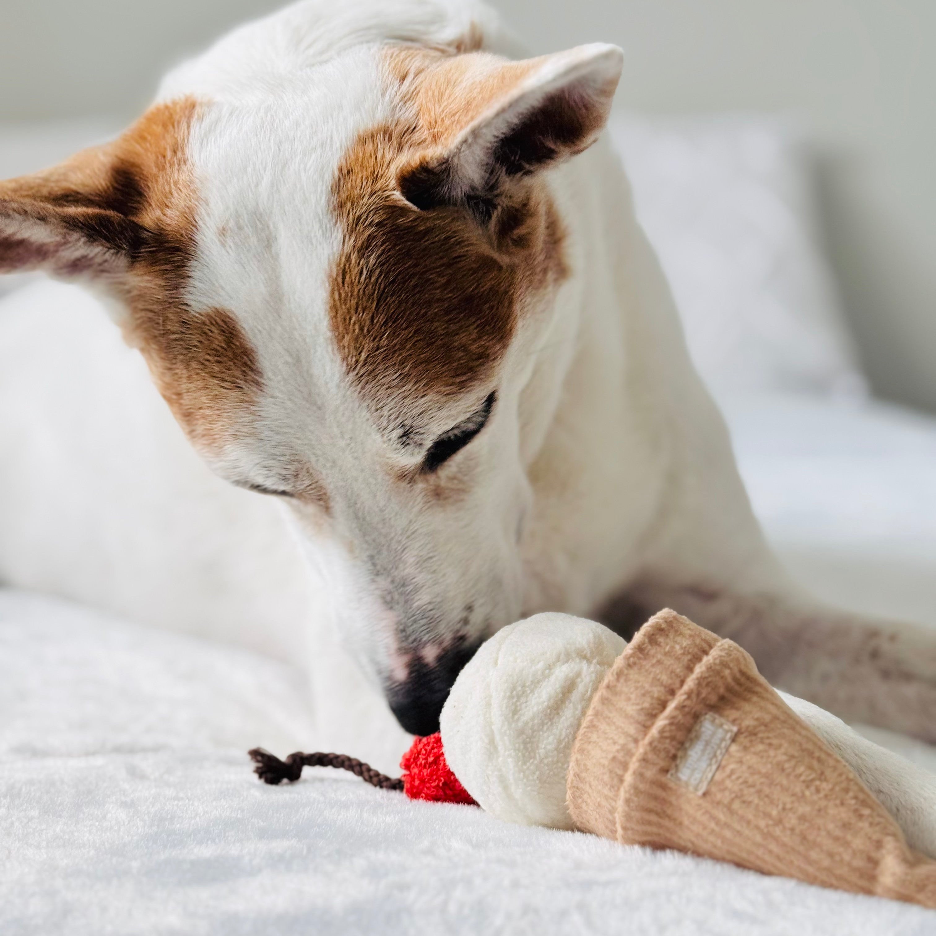 Ice Cream POP - Lambwolf Collective