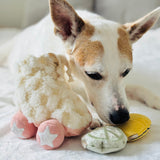 Roller Skate - Lambwolf Collective