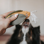 CORN - Lambwolf Collective