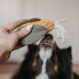 CORN - Lambwolf Collective