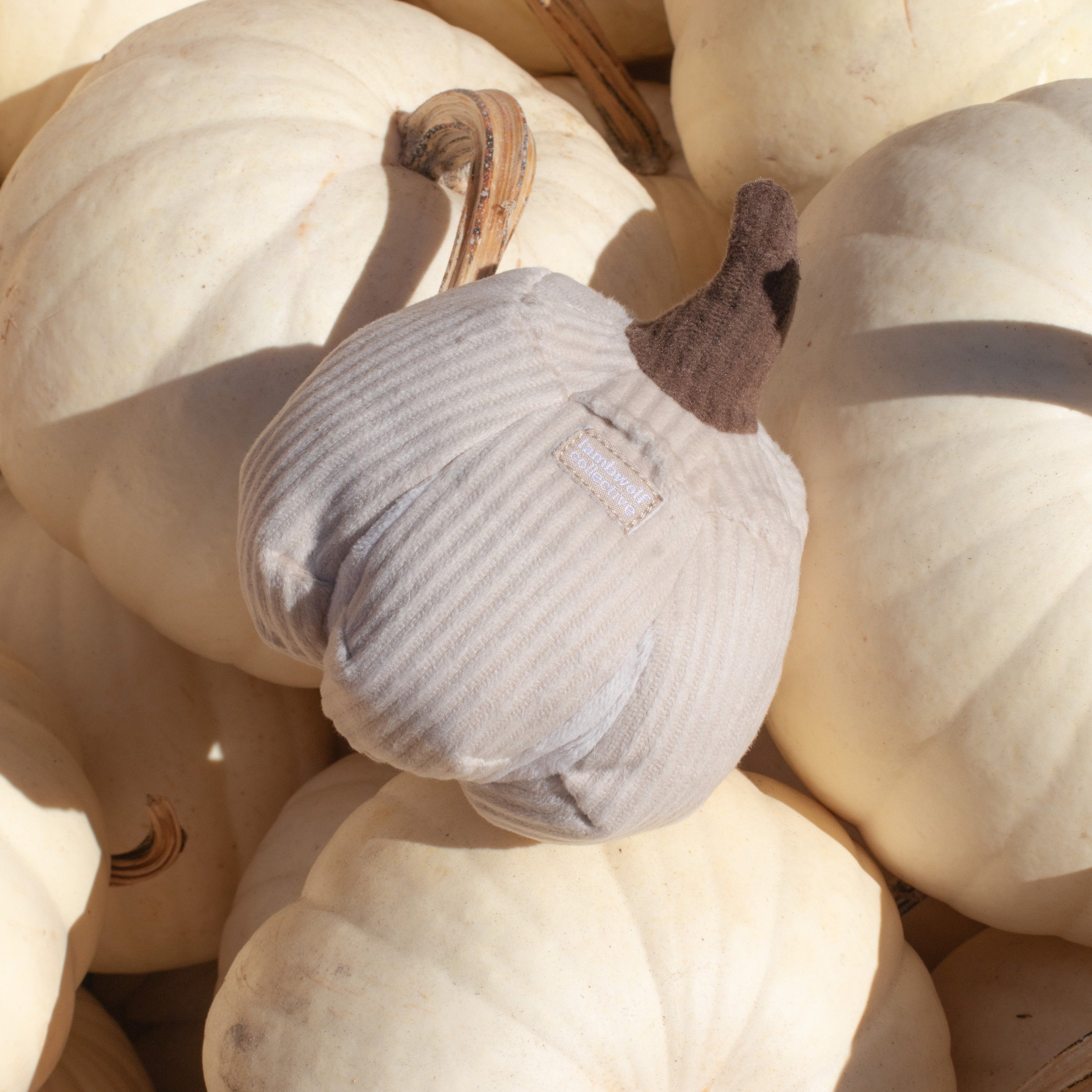 A plush corduroy pumpkin with a brown stem sits nestled in a pile of real white pumpkins. 
