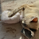 KITTY NAIL POLISHER